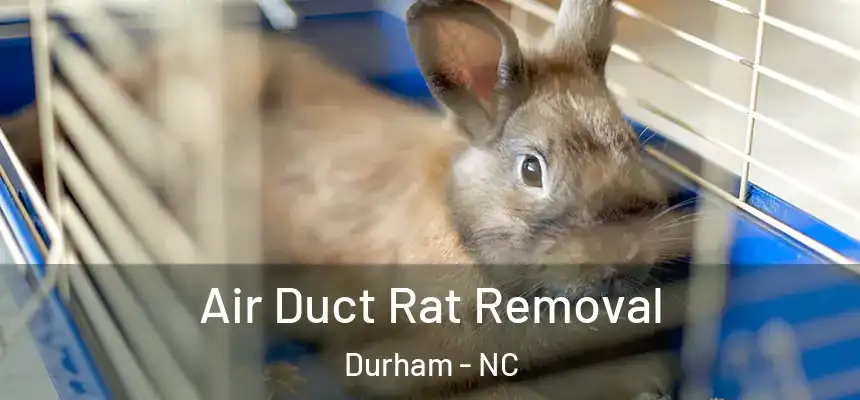 Air Duct Rat Removal Durham - NC