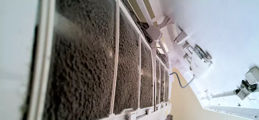 Preventive Air Duct Bacteria Removal in Durham