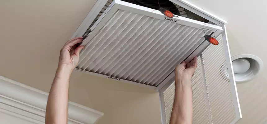 Preventive Cockroach-Proofing for Ducts in Durham