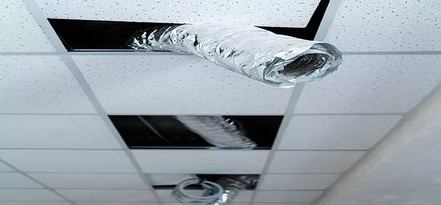 Affordable HVAC Sanitizing After Pest Removal in Durham