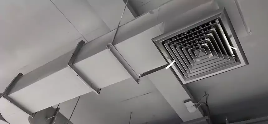 Restorative Allergy Relief Vent Cleaning – Coil, Blower & Housing Detail in Durham