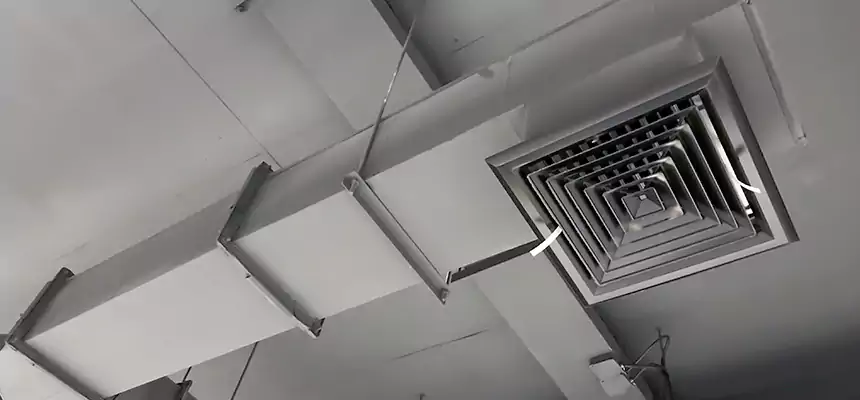 Our Rodent Droppings In Vents Services in Durham, NC