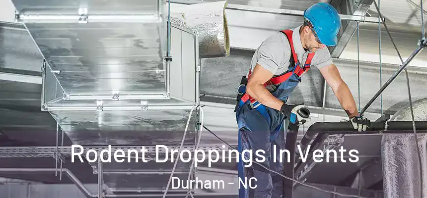 Rodent Droppings In Vents Durham - NC