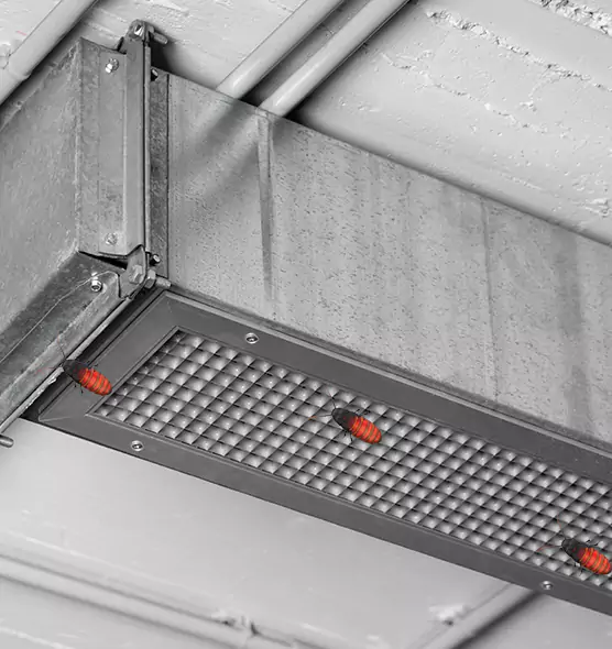 Affordable Insect Removal from Air Ducts in Durham, NC