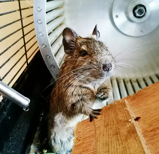 Why Homeowners & Businesses Trust Us Durham, NC