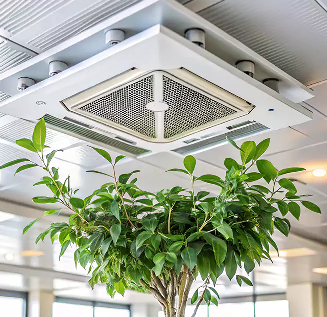 Why Homeowners & Businesses Trust Us in Durham, NC